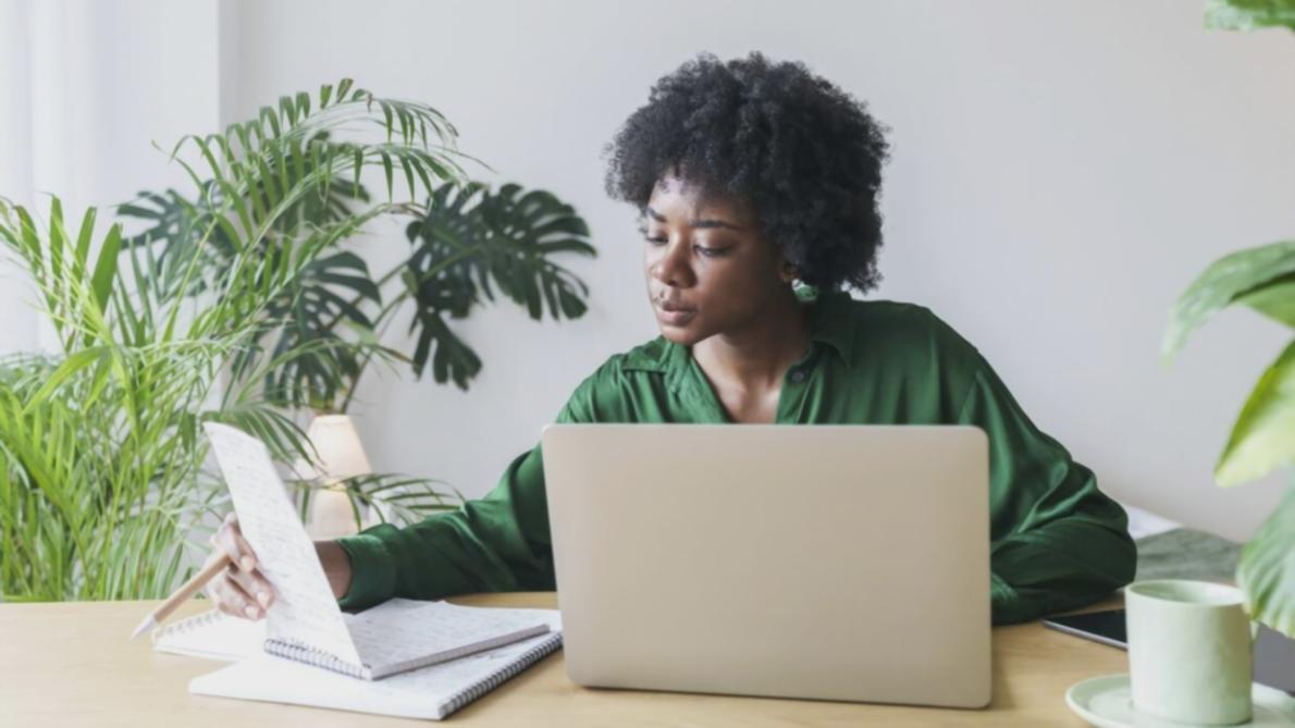 Análisis detallado de tendencias presupuestarias en Needensar